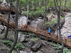-大岭沟猕猴桃谷风景区