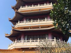 -福神岗公园