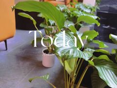 -宫七SPA·高端Massage(浦东大道店)