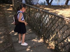 -长兴太湖图影湿地文化园