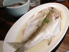 清蒸太湖白鱼-鱼食饭稻·苏浙土菜17年老馆子(平江路店)