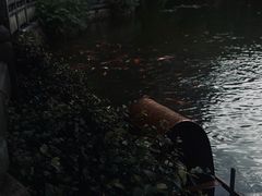 -阿育王寺素斋馆