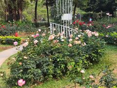 -人民公园(罗湖区)