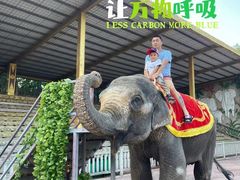 -贵州森林野生动物园