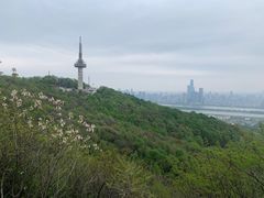 -岳麓山风景名胜区
