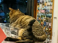 -猫的天空之城概念书店(杭州南宋御街店)