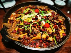 -老板恋上鱼(荣盛广场店)