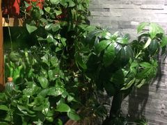 -金豆角砂锅焖面(安贞店)