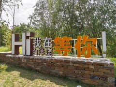 -白洋淀景区