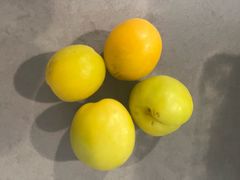 -上海璞麗酒店