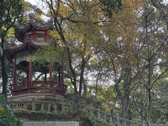-乌山风景区