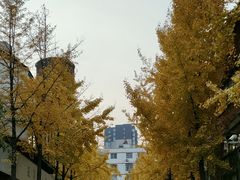 -中影星美大北门影城