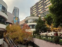 -瑞虹新天地月亮湾