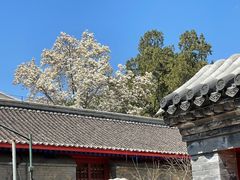 -红螺寺