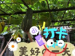 -青青世界
