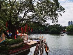 -侨美·唐荔园·40年地道粤菜