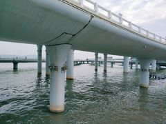 -演武大桥观景平台