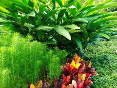 -云溪植物园