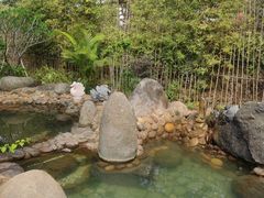 -龙佳生态温泉山庄
