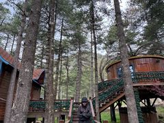 -洛阳白云山景区