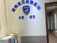 -中农大我爱我爱24h动物医院·中医针灸·猫专科·骨科医疗中心(双井店)
