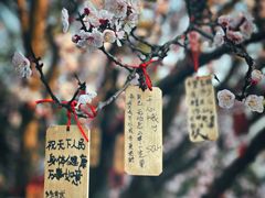 -老山国家森林公园