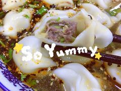 酸汤牛肉水饺-回坊马二饺子馆