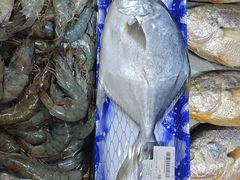 -君悦酒店·乐厨·高空自助餐(青年大街店)