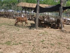 -南京金牛湖风景区