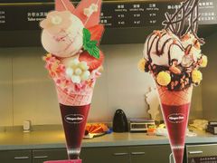 -哈根达斯(西安高新店)