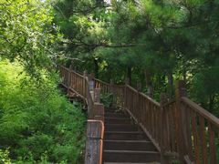 -北京十三陵国家森林公园蟒山景区