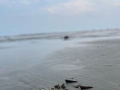 -东海岛旅游度假区