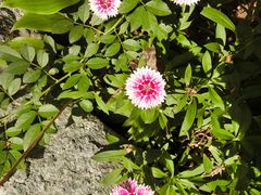 -熙古里艺术村