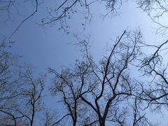 -长白岛森林公园