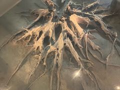 -金沙遗址博物馆