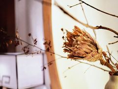 -格桑花开药膳蔬食文化空间