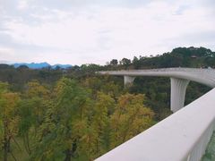 -飞凤山奥体公园
