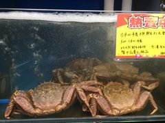 -蚝专家(北滘店)