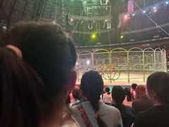 -俄罗斯国家大马戏团