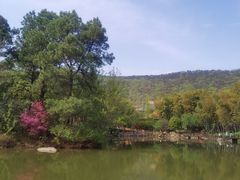 -宝岩生态观光园