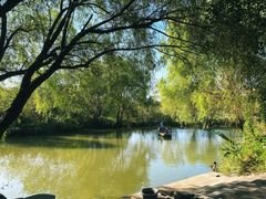 -长兴太湖图影湿地文化园