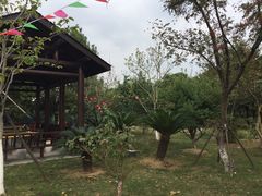 -呼吸森林·生态农庄农家乐私房菜