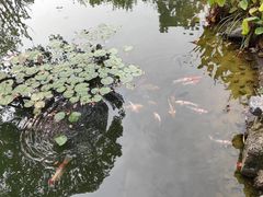 -武汉动物园