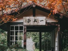 -中国茶叶博物馆(双峰馆区)