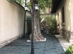 -静园(和平区)