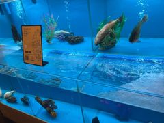 -怡咖啡·自助餐·西安香格里拉