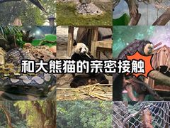 -广州长隆野生动物世界