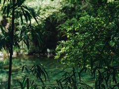 -黄山翡翠谷景区