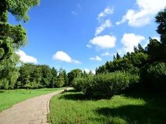 -日照海滨国家森林公园
