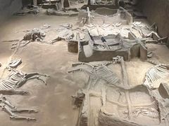 -洛阳周王城天子驾六博物馆